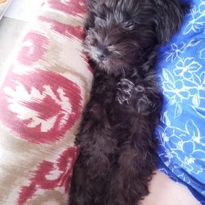 Meet your Posher, Deedra